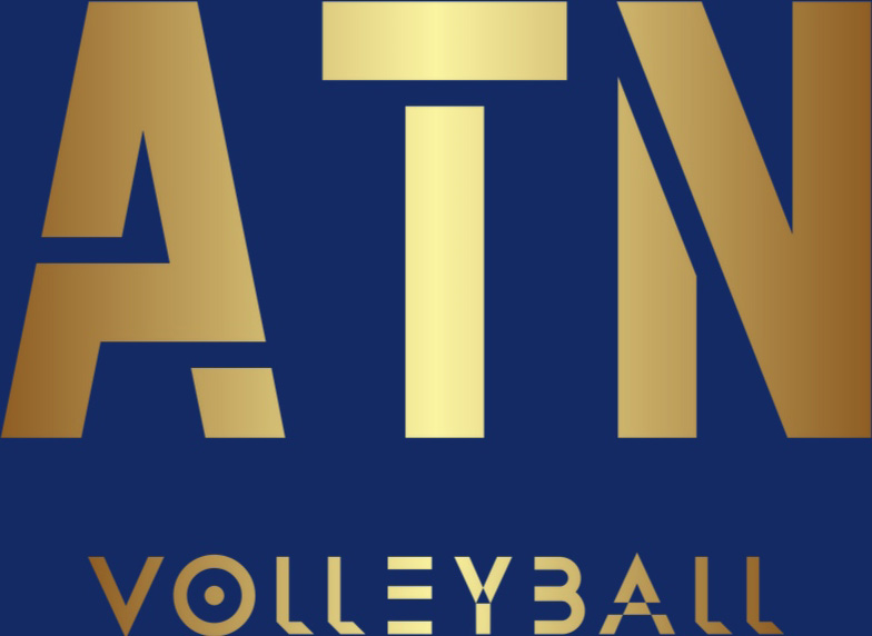 Azariat Nelson Volleyball logo